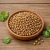 Coriander