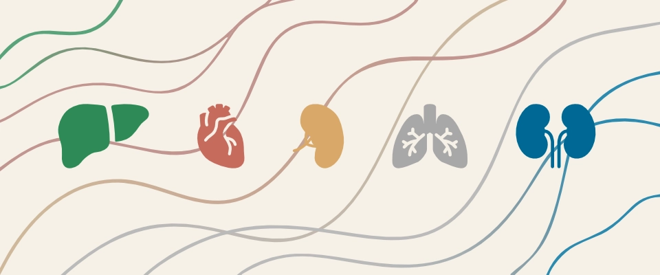 สมดุลธาตุภายใน (แบบสั้น)